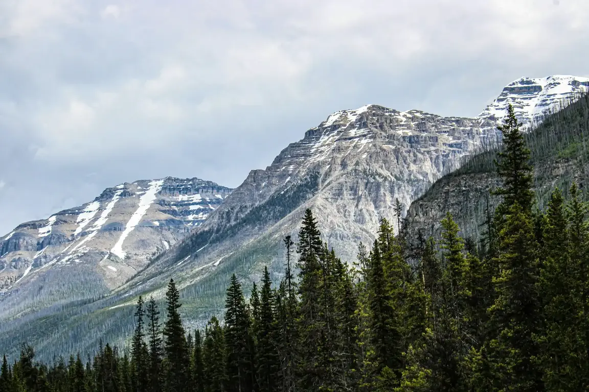 Sanson Peak boardwalk