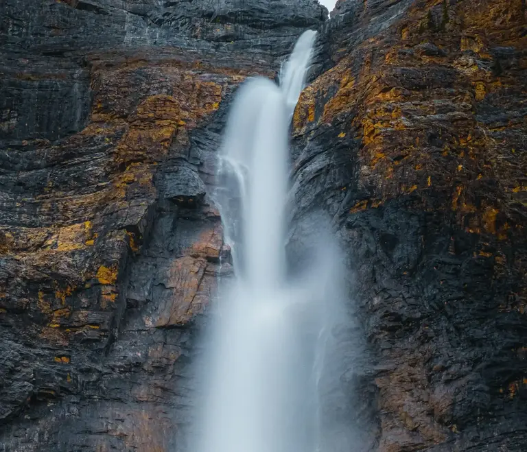 Emerald Lake lakeshore